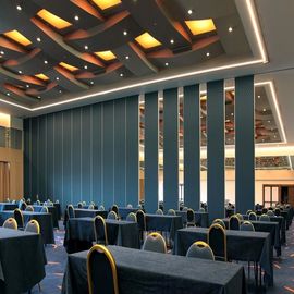 Konferenzsaal-solides Beweis-funktionelles Trennwand-Gewebe fertige Farbe besonders angefertigt