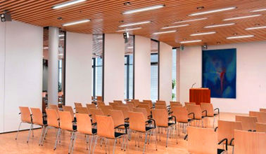 Höhe der modernes Klassenzimmer-dekorative funktionelle faltende Trennwand-15000mm